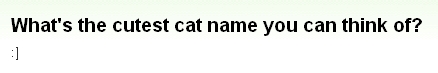 『最高に可愛らしいネコの名前といえば何が思い付く？』