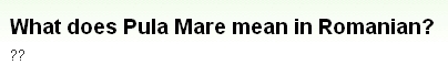 画像:What does Pula Mare mean in Romanian?.jpg