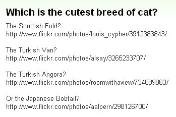 『最高に可愛いネコの品種はどれ？』