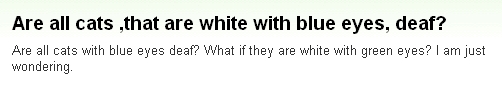 画像:Are all cats ,that are white with blue eyes, deaf?.jpg