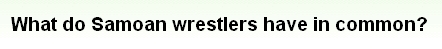 画像:What do Samoan wrestlers have in common?.jpg