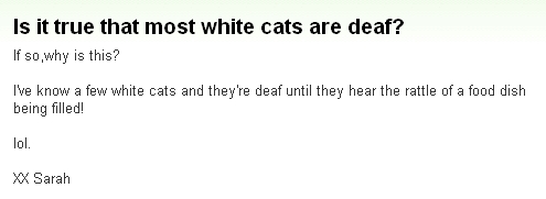 画像:Is it true that most white cats are deaf?.jpg
