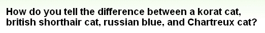 『コラットとブリティッシュショートヘアとロシアンブルーとシャルトリューってどう区別すればいい？』