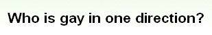 画像:Who is gay in one direction?.jpg