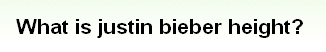 『ジャスティン・ビーバーの身長って？』