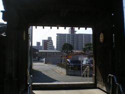 山門の向こうすぐ前方に影を落とし聳ゆ市営馬出住宅