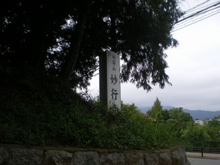 『袖湊山』―『妙行寺』―山号と寺号とを刻み大池の水面を見据える看板。