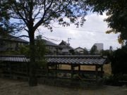 その境内より見られる本願寺の本堂。