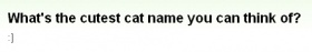 『最高に可愛らしい猫の名前といったらどんなの思いつきます？』