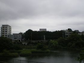 野間大池の水面に影を映すその大屋根と伽藍の森