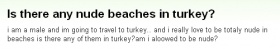 『トルコにヌードビーチてあるんすかね？』