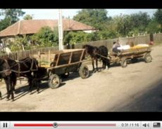 『The beauty of Romania』