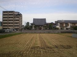 住宅街のさなかに佇む簡素なる伽藍