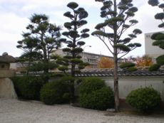 塀の向こうに境内の見る市営住宅壱岐団地