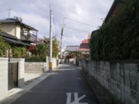 西より見られるその大屋根