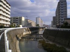 その流れの福岡市内の一角。先に見られる橋は昭和62年（西暦1987年）の3月に完成した『那珂歩道橋』で、左手前に見られる団地は福岡市営那珂南住宅（那珂南団地）、橋の向こうに見られる団地は福岡市営板付住宅（板付団地）。