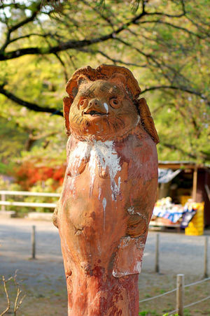 大黒天―茂林寺の狸