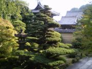 境内に緑を育む庭園